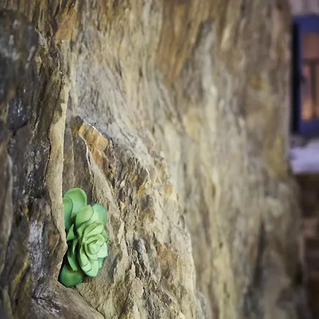 Riverside Rustic Retreat Apartamento